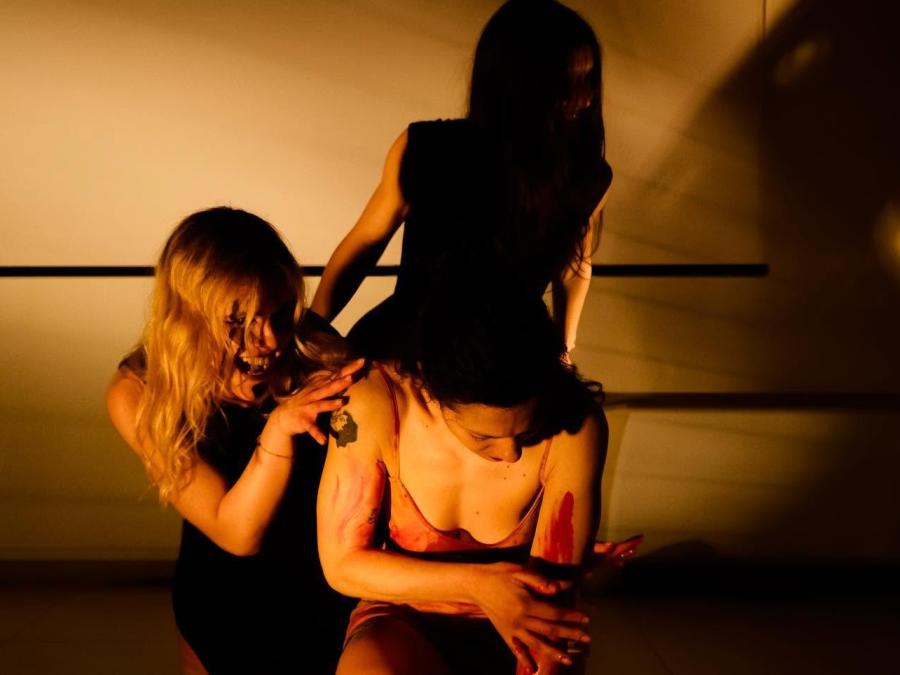 Teatro Danza — Teatro dei Limoni